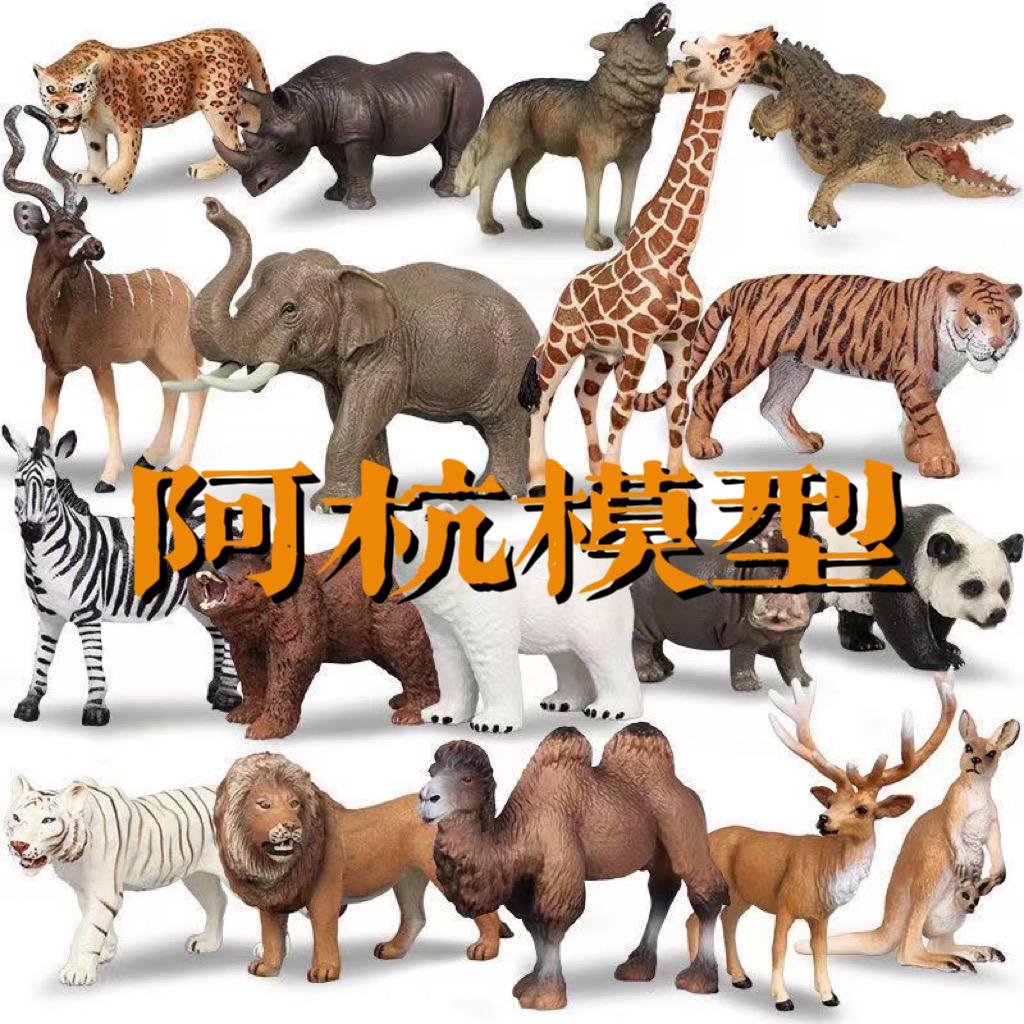 四点金玩乐