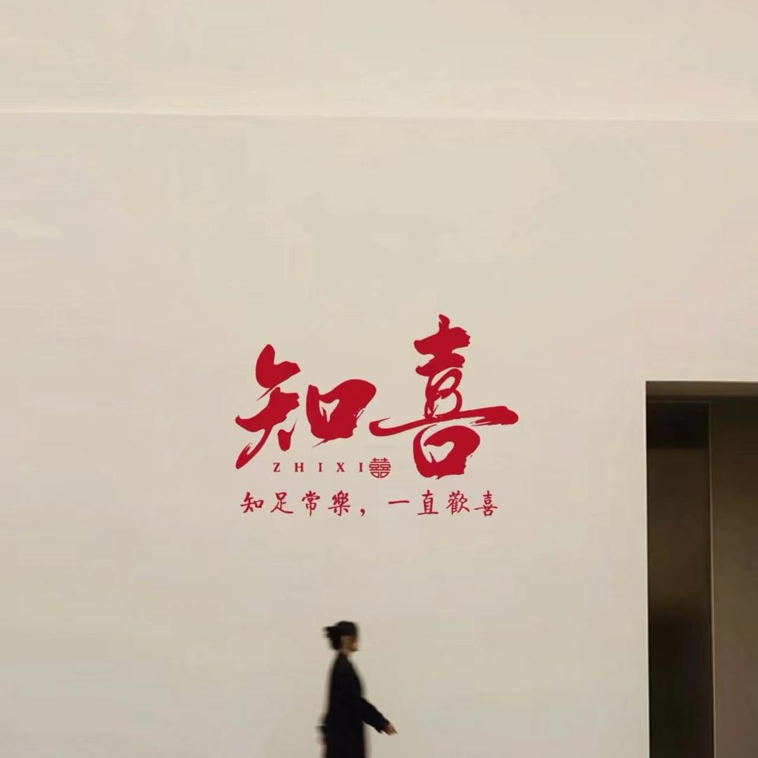 知喜大码女装穿搭