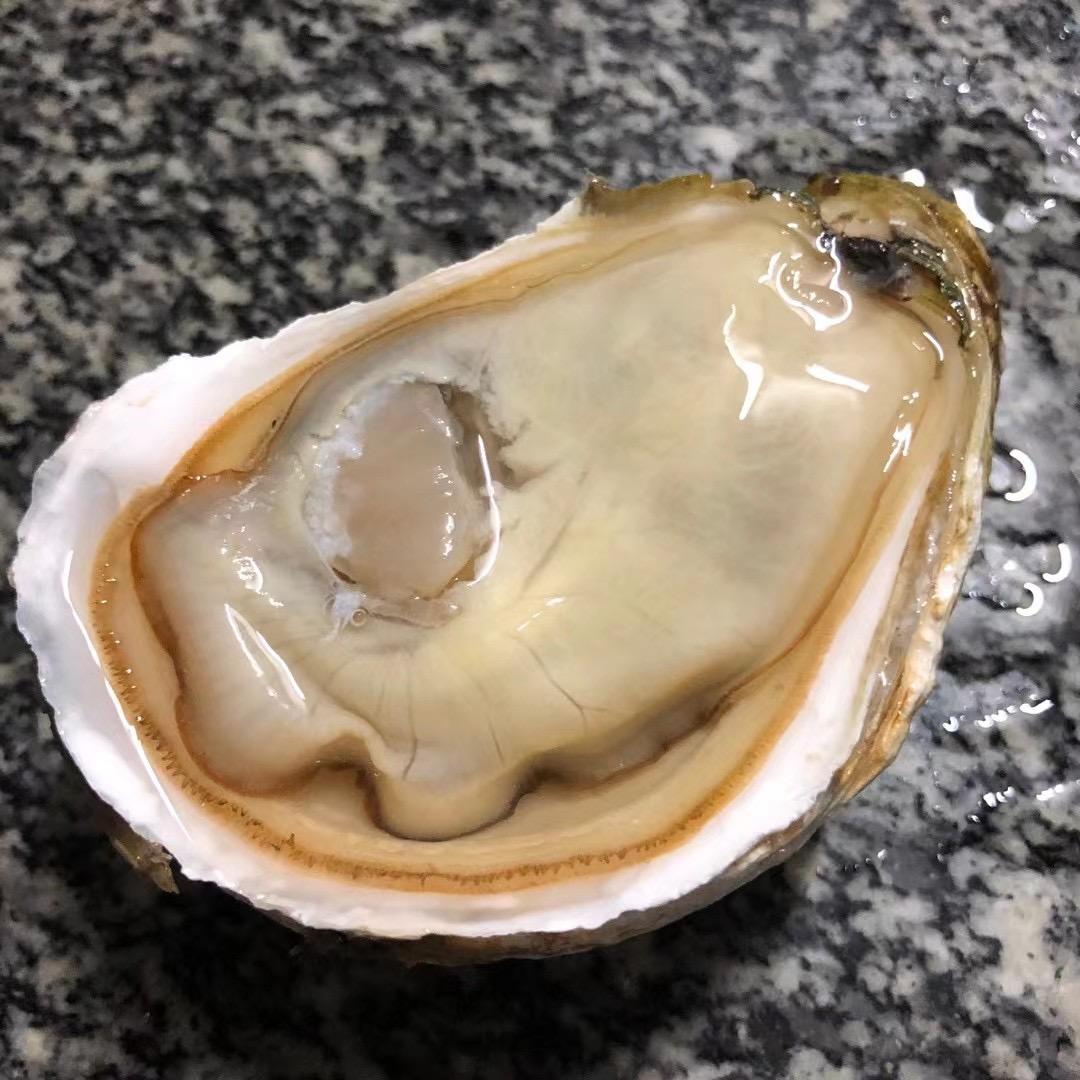 百家蚝，配送，汕头市包邮。