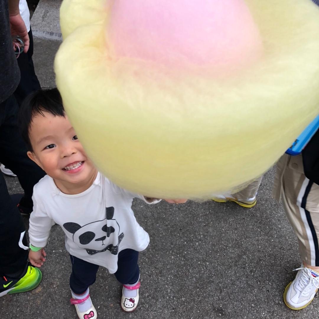 bingo想回到过去