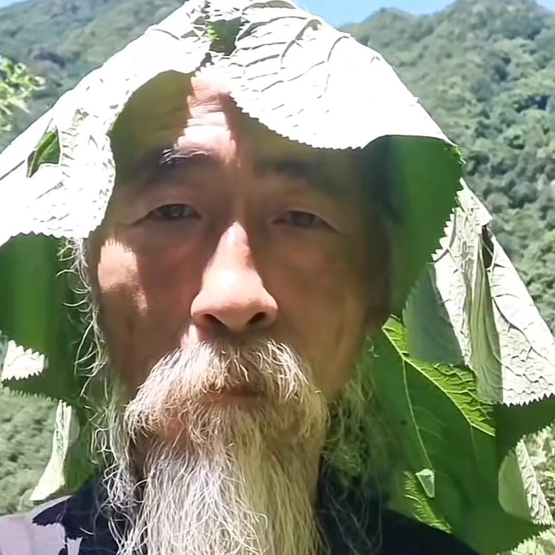 创飞全世界的大沙杯