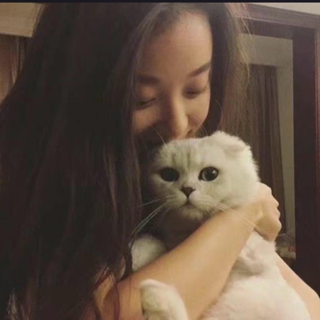 激情滚轮鼠标王袭击近赤道原始部落酋长大赛