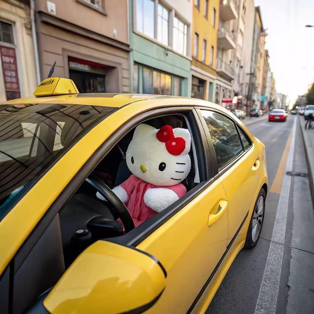 重生之我在驾校教学员