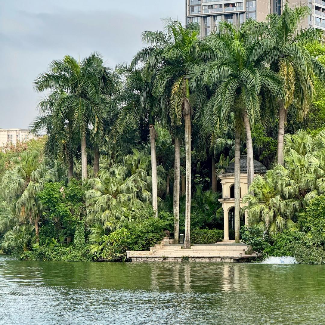 华侨城小小老六