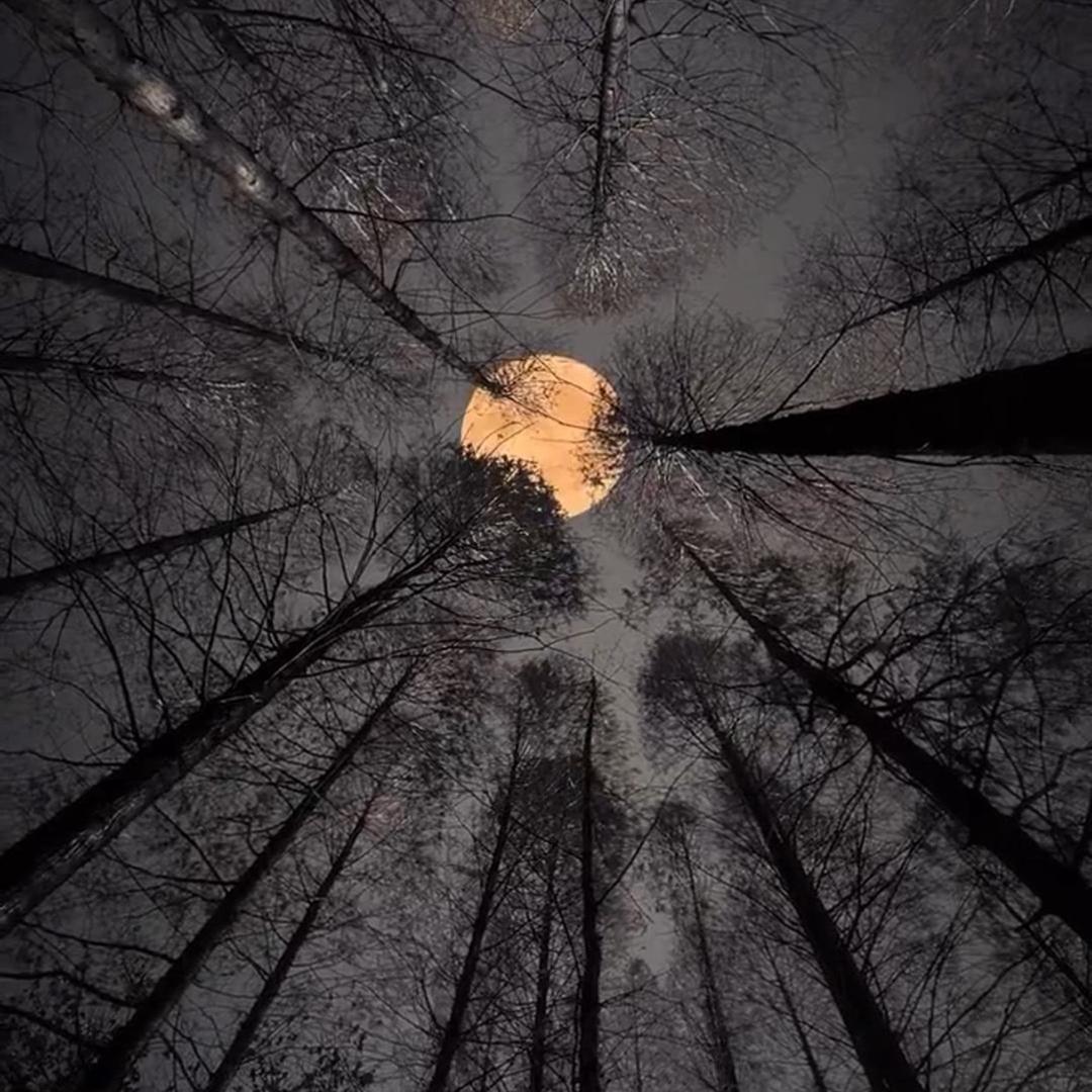 敬仪