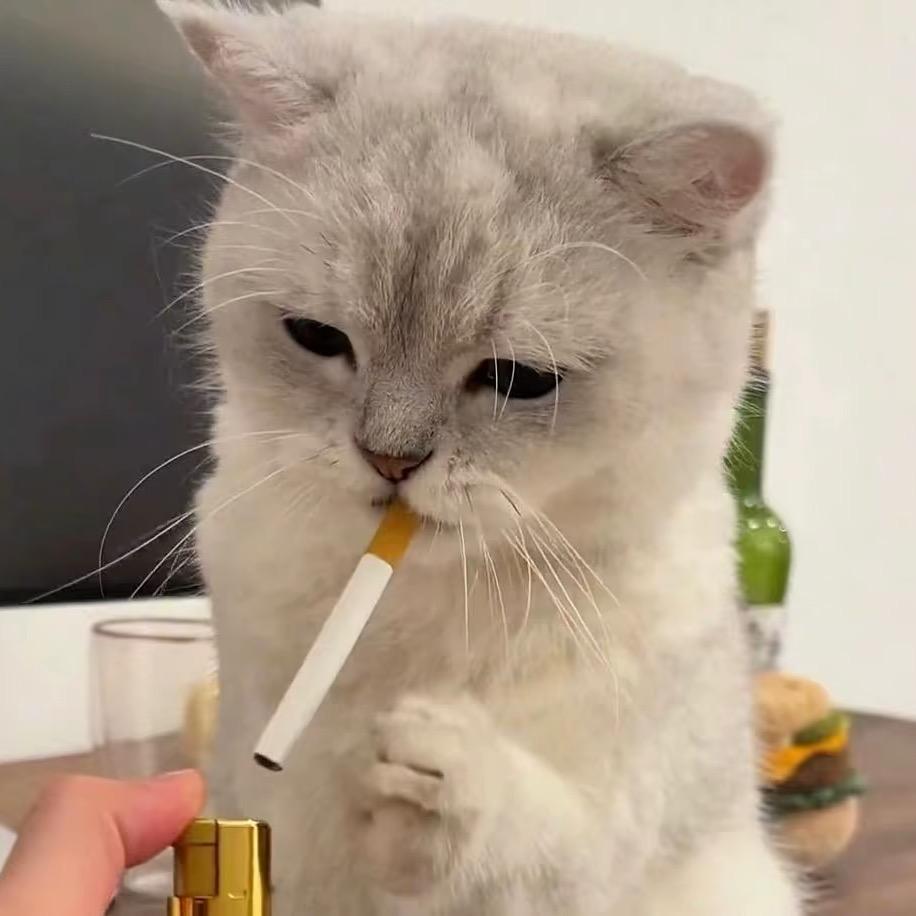 小李呀