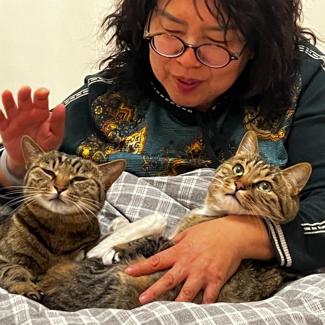 王麻五只猫