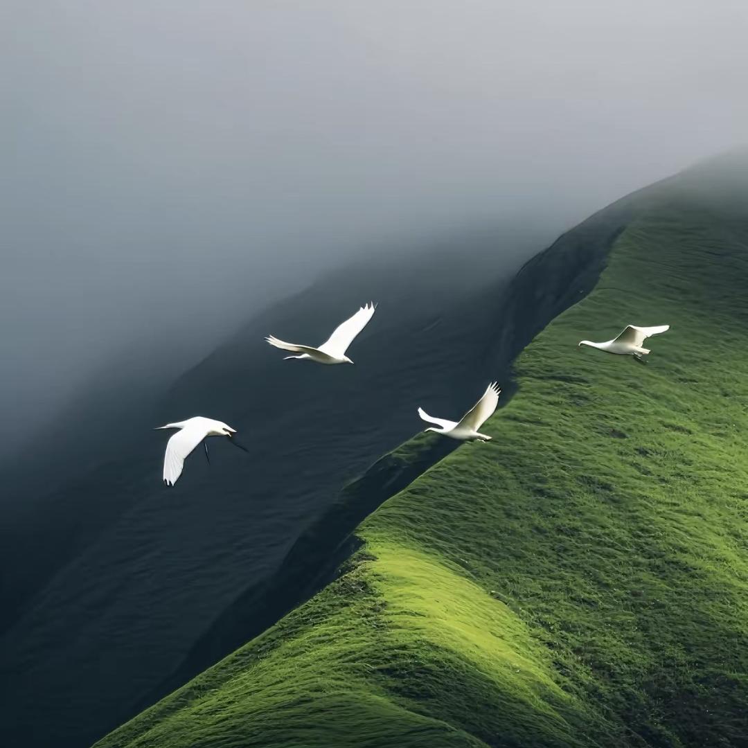 听风诉说·玮易宜扬