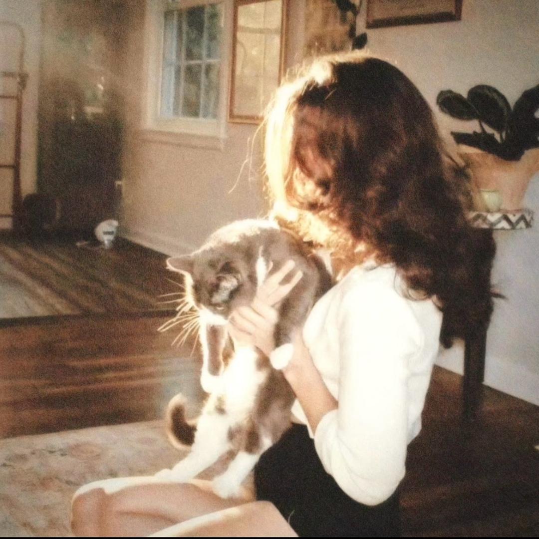 重生之我是懒洋洋🍼