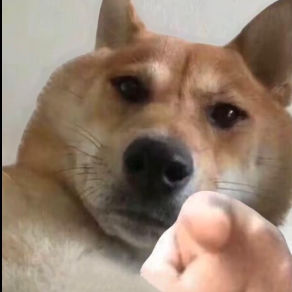 西红柿炒洋柿子