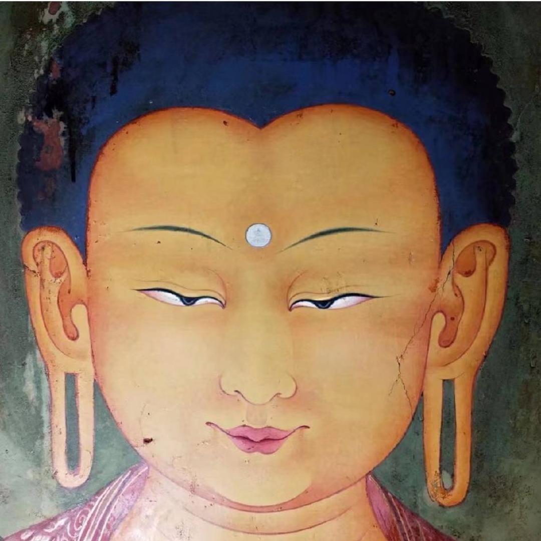 嘎尼