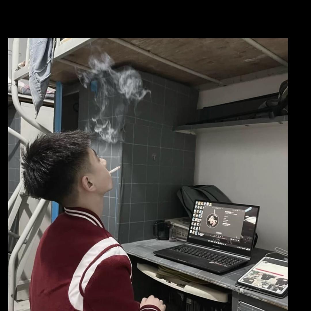 不会开挖机的小潘潘