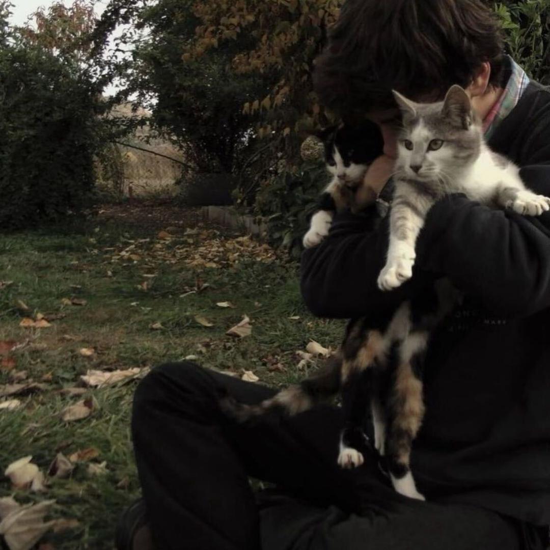 cs2福尔摩斐（大号被封版）