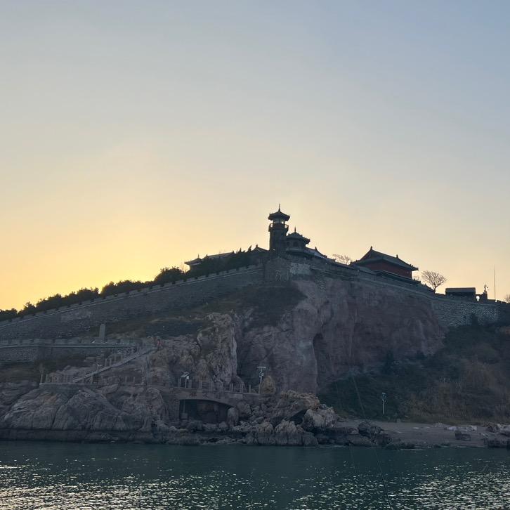 旅途中的喵