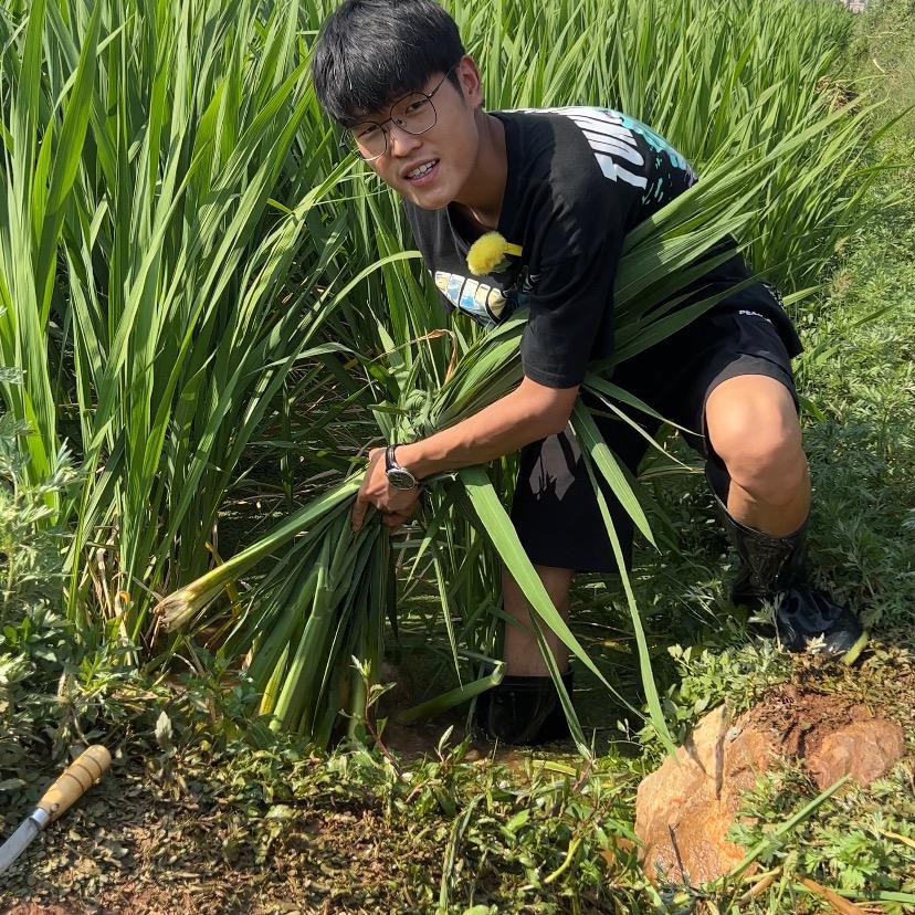 小凯鲜果
