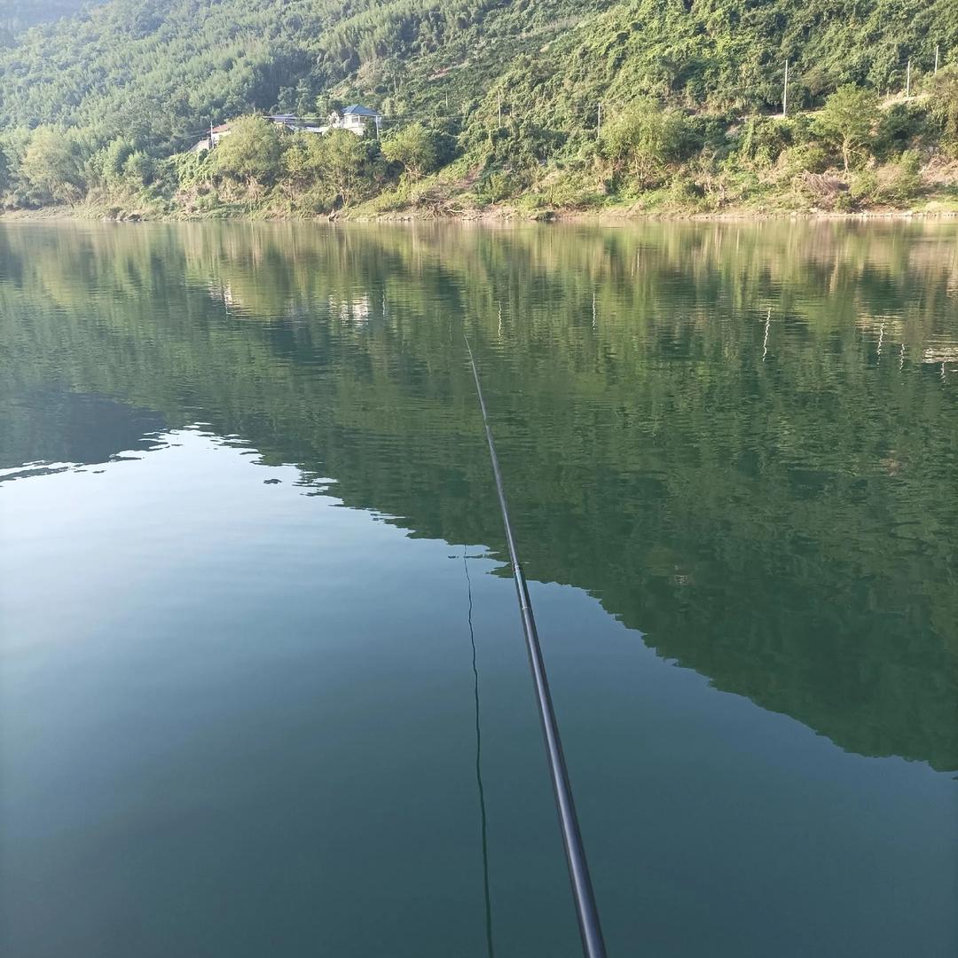 钓鱼小药测评
