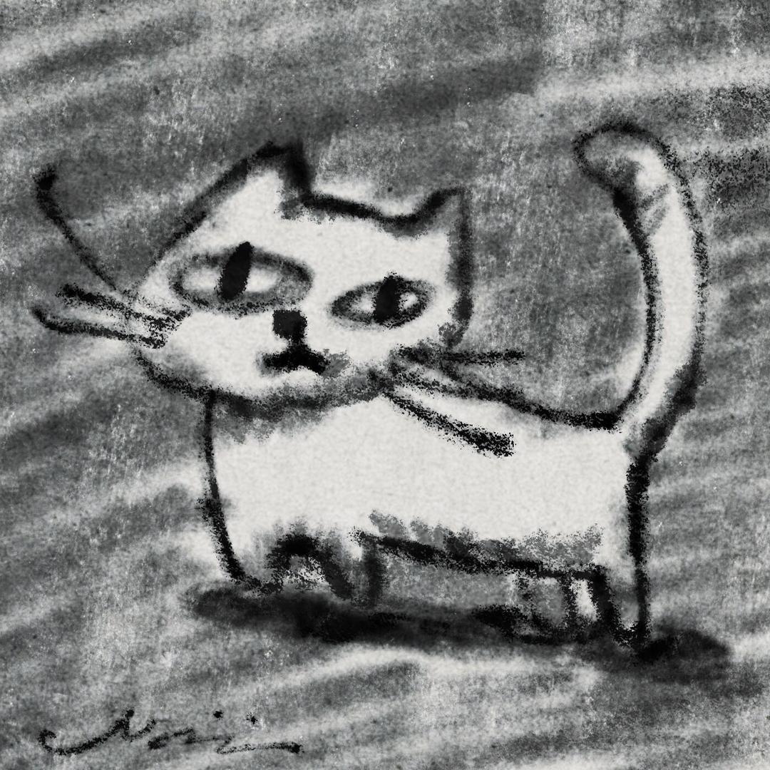 洛阳融科姚老师