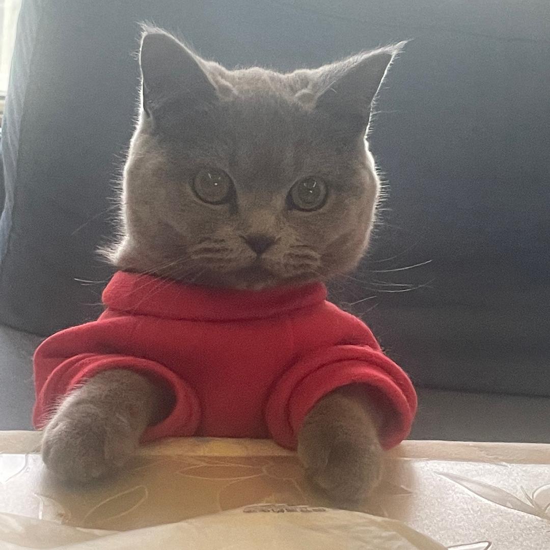 啊娇