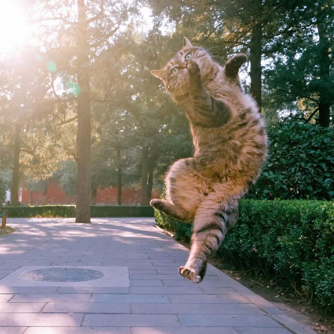 小青年
