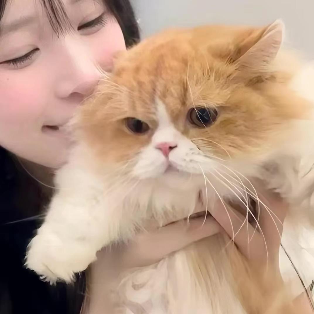 tkrrrrrrr