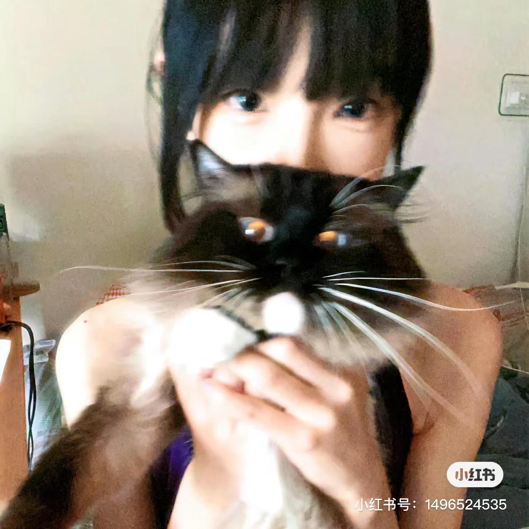 毛毛大王