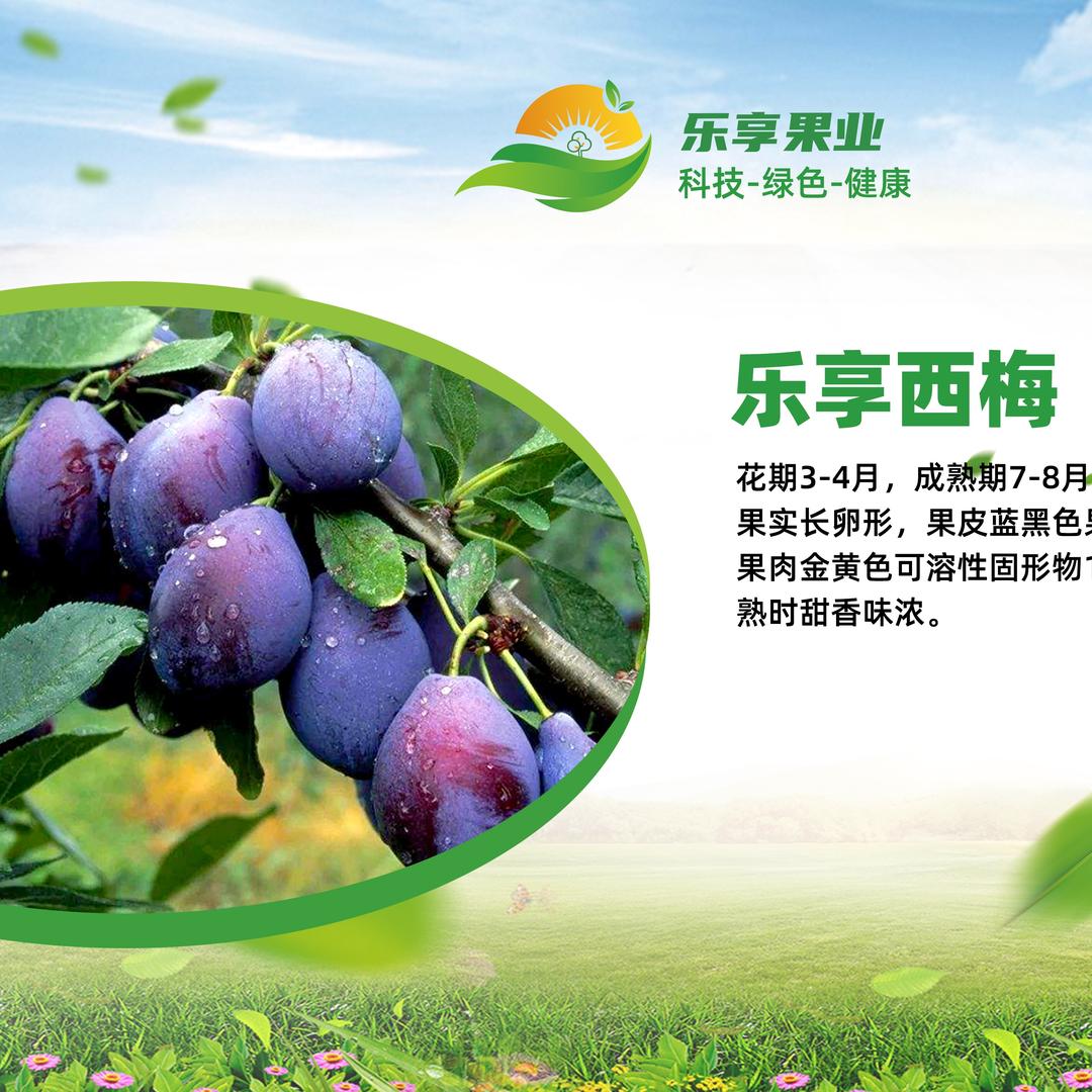 单县乐享果业科技有限公司