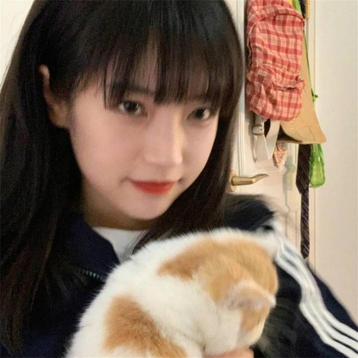 像风如你＂