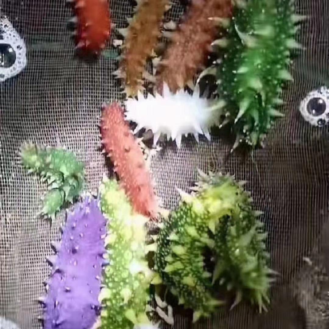 高松
