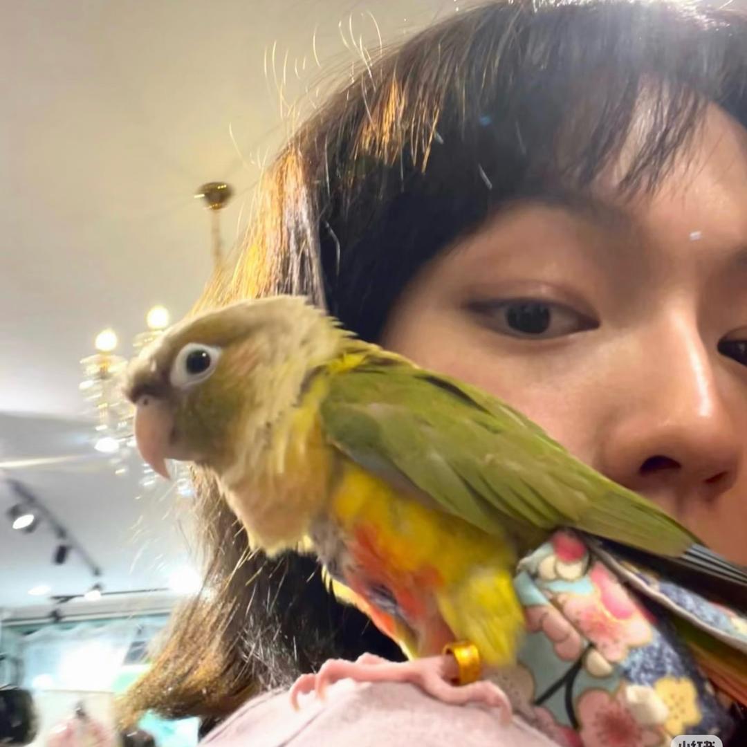 花花花花哗啦啦