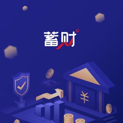 蓄财有道