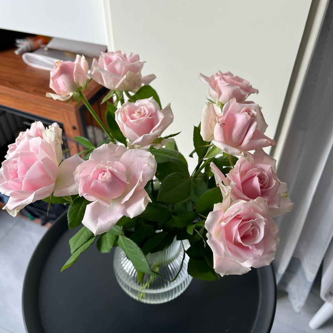 🍀让自己成为一束光🍀