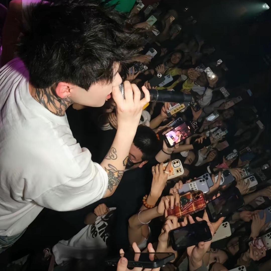 雪地里有猫爪印