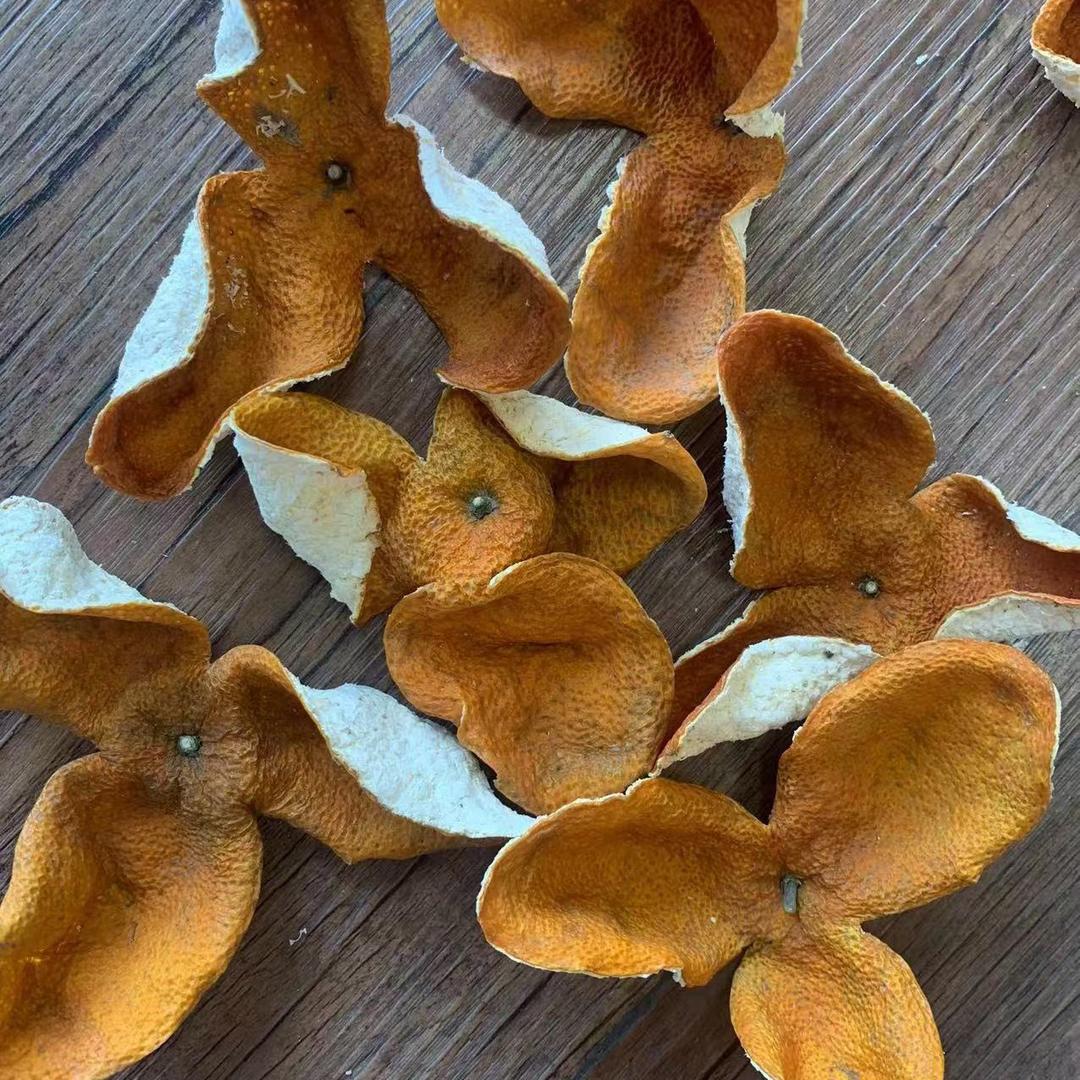 新会茶坑村种植户-袁叔