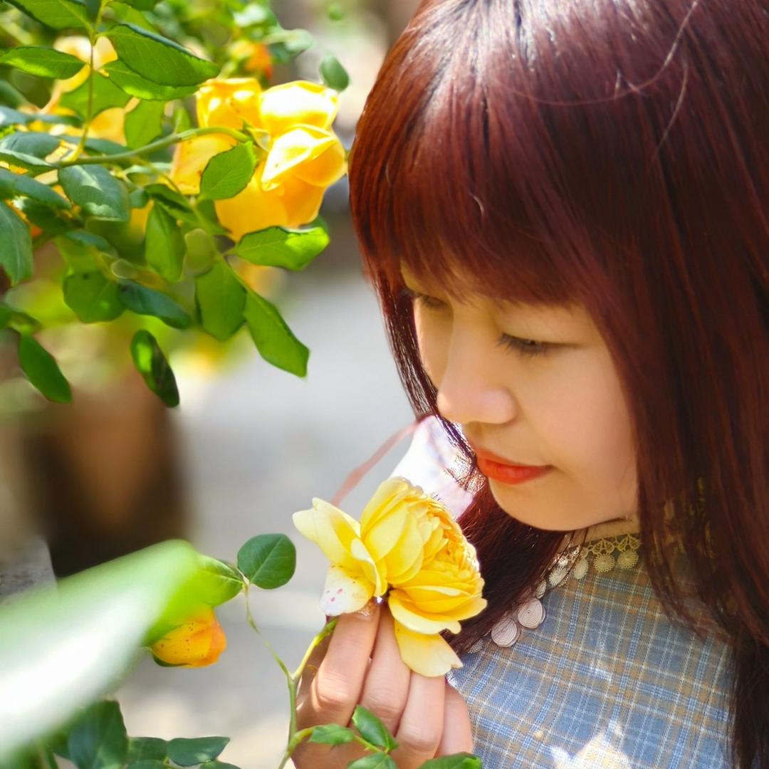 丽🌼