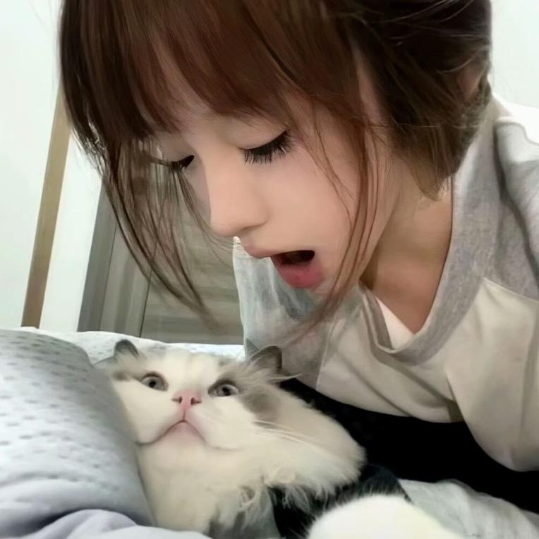小鱼饼