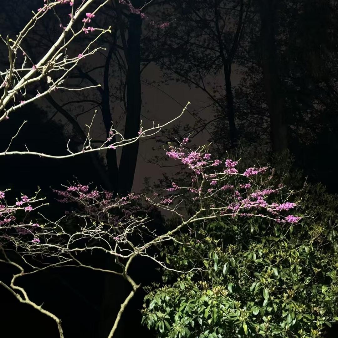 欧文辰