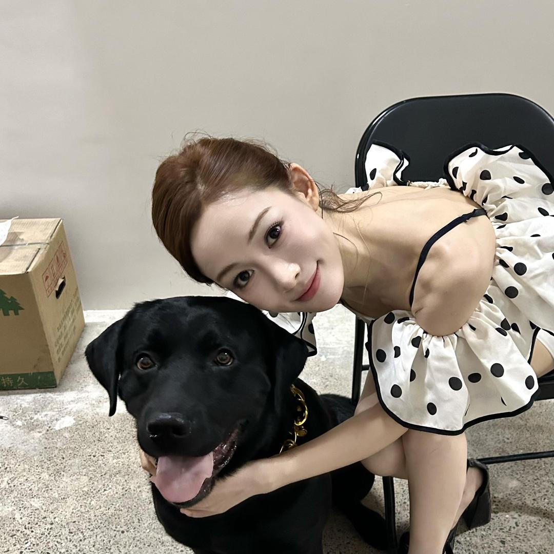 •ᴥ•