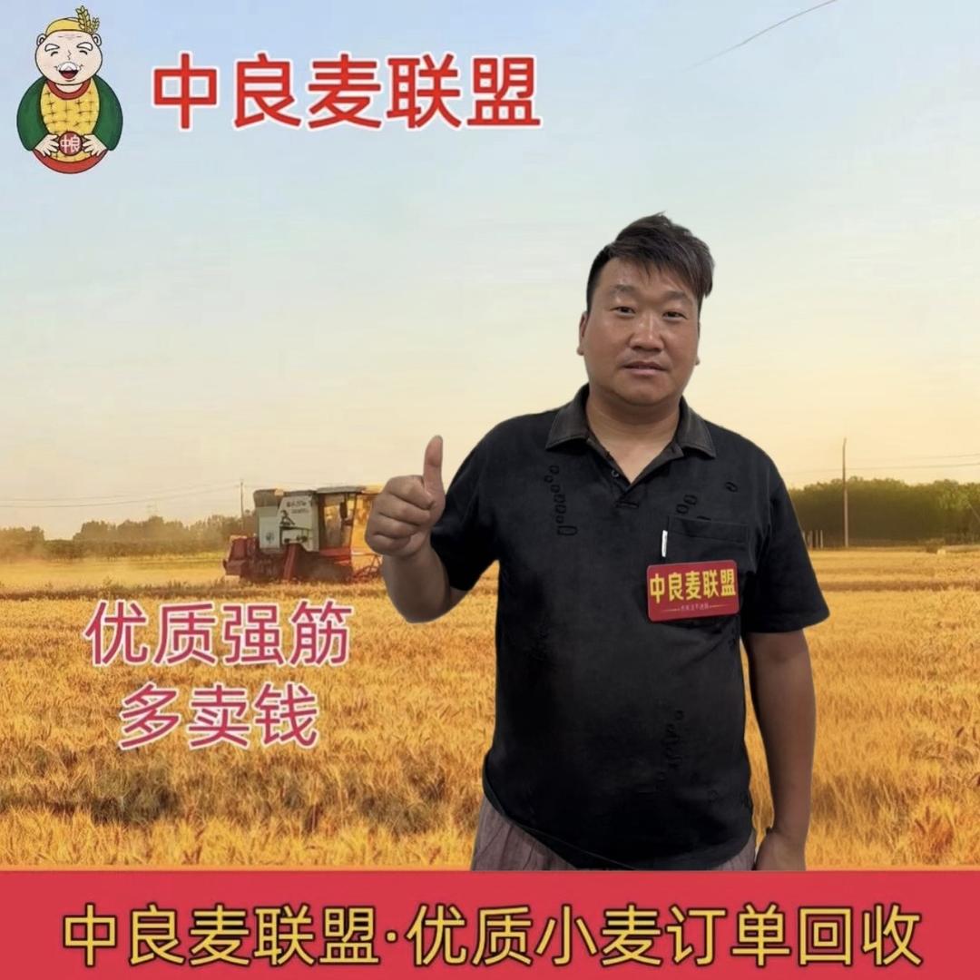 孙小峰育苗