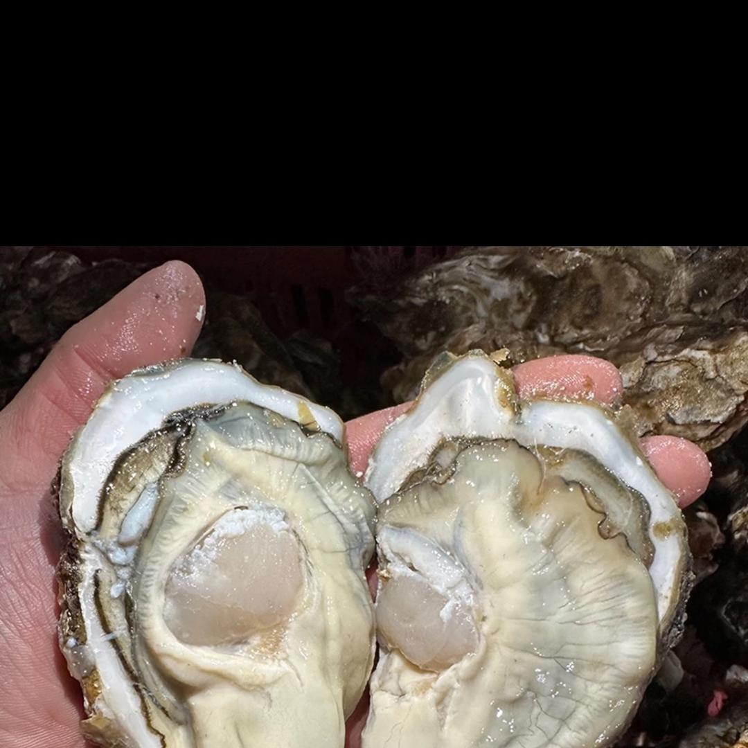 鲜品海鲜店