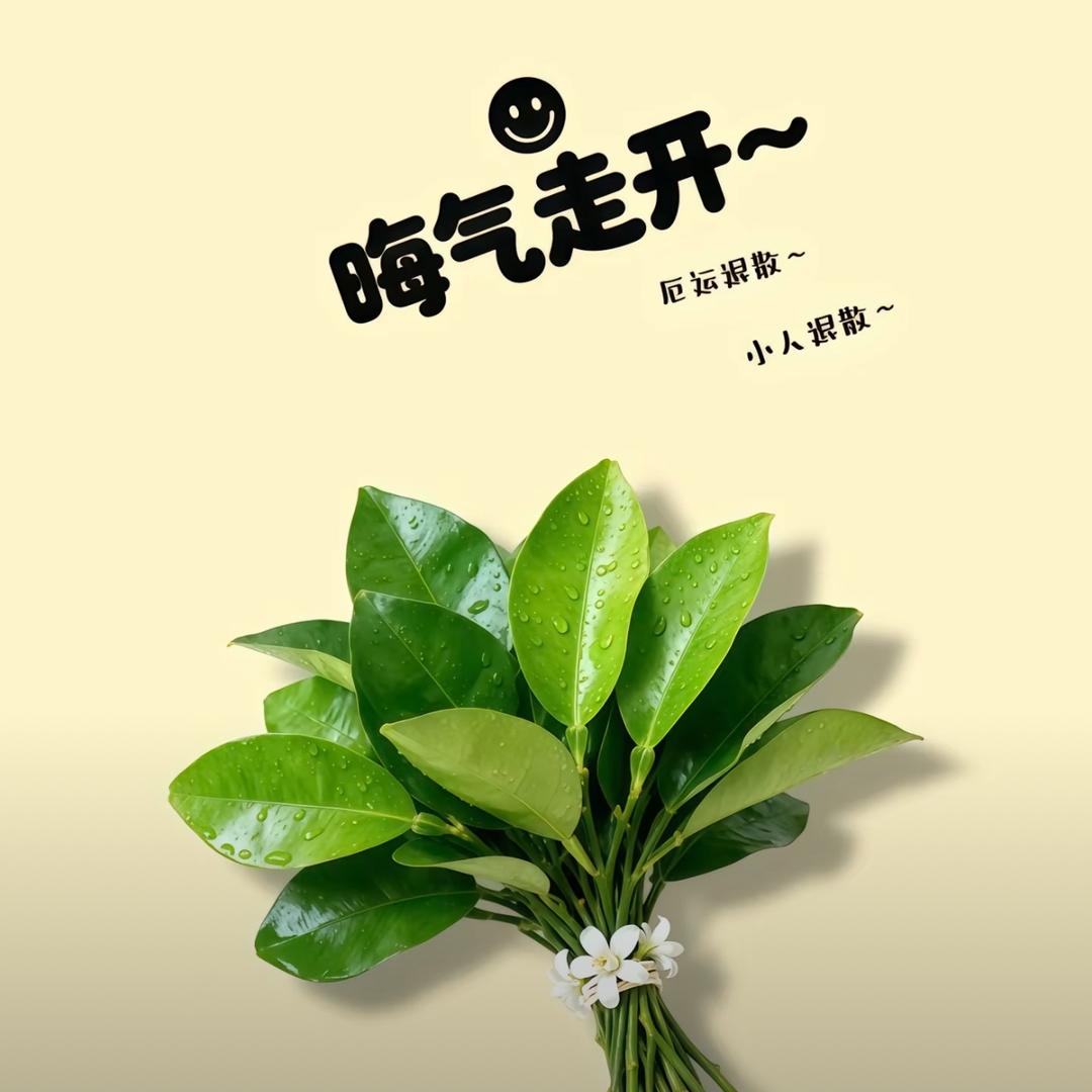 淋