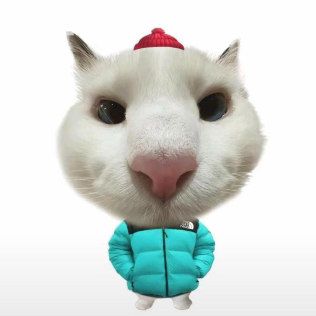 幸运龟🐢⁺ ♡₊⋆