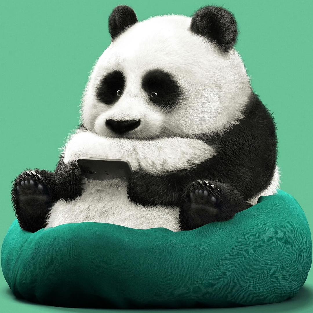 🖐🏻所吊谓