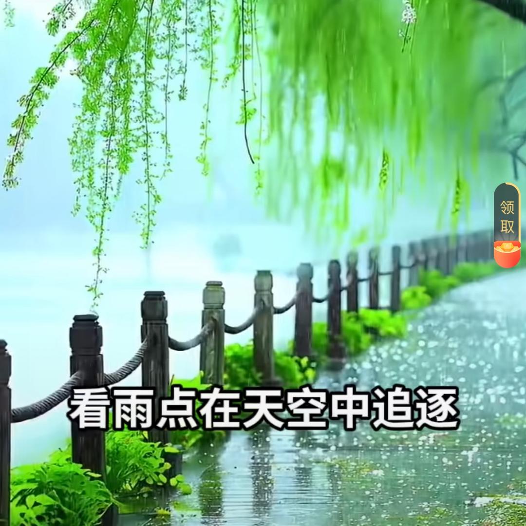 萌宠的可爱日常