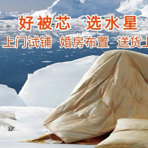 水星家纺小凤