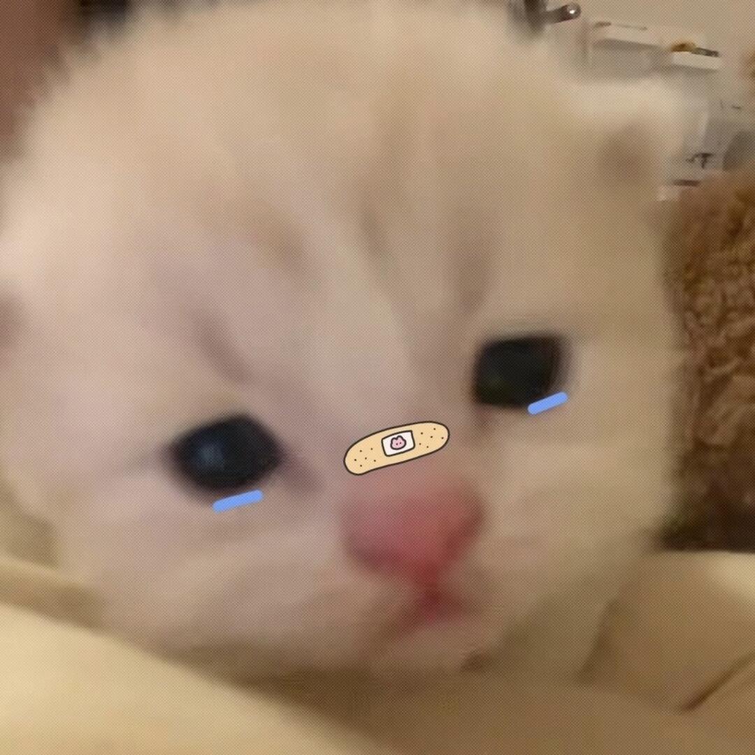 吃一百个大鸡腿