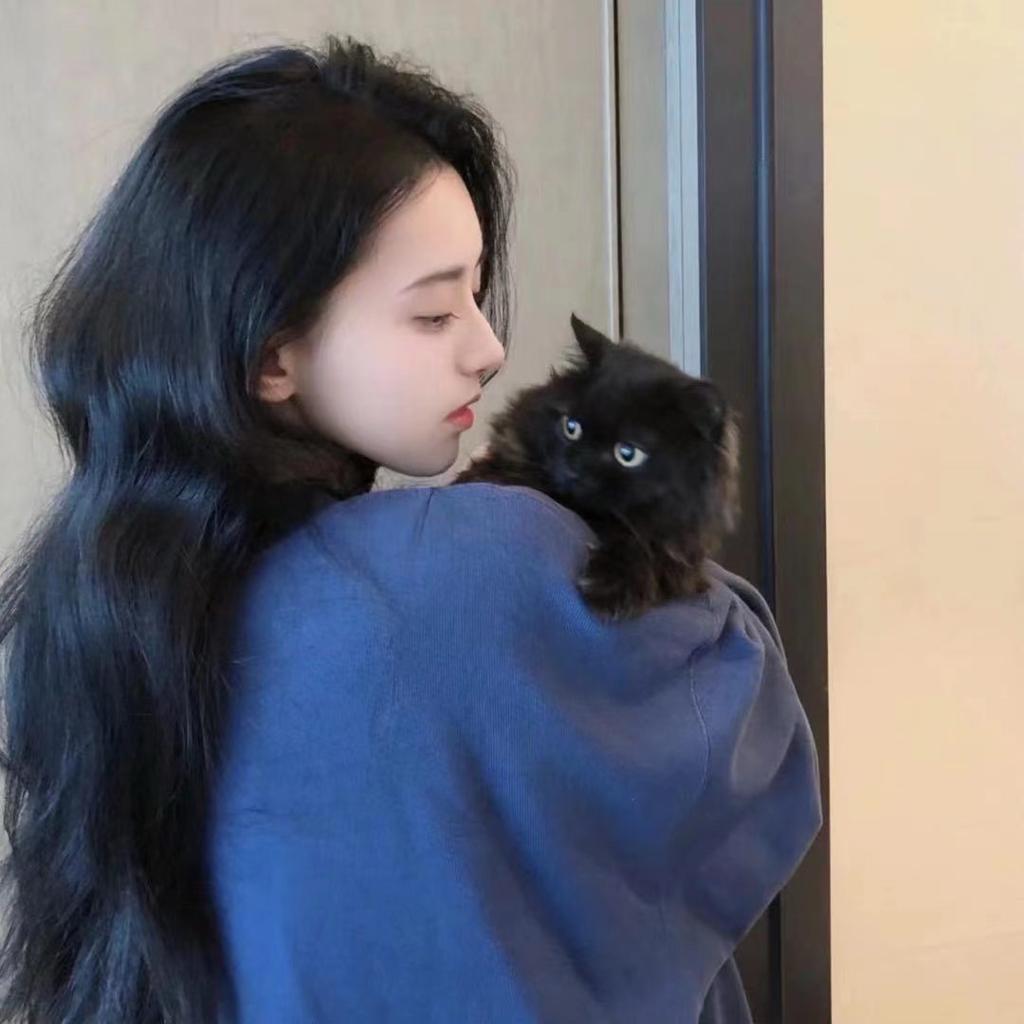 𝐹𝑎𝑙𝑙𝑖𝑛 ゛