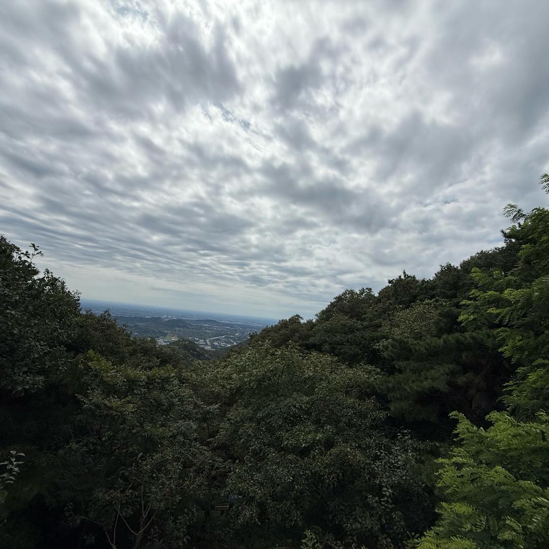 迷茫
