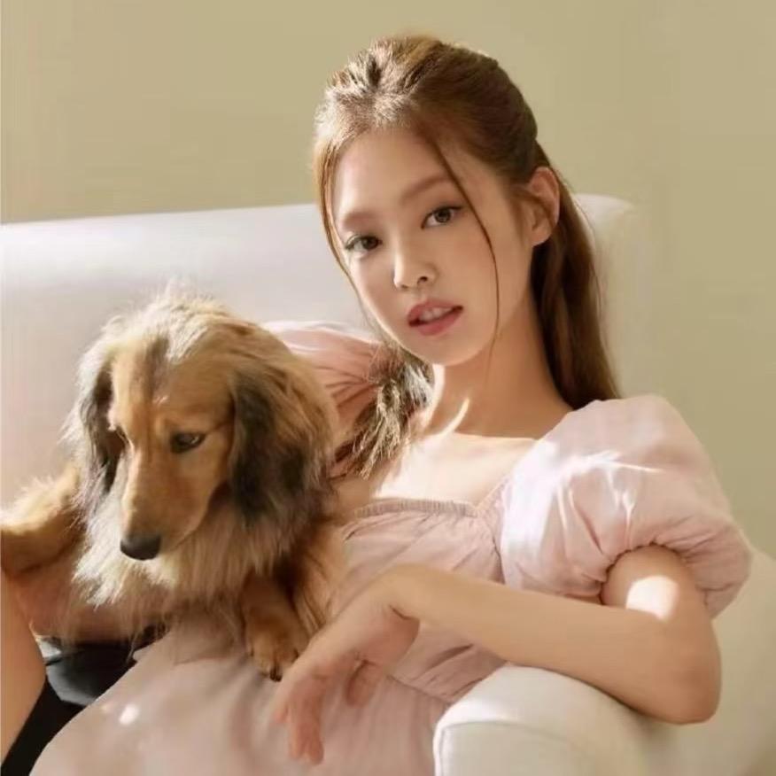 小马宝莉🦄