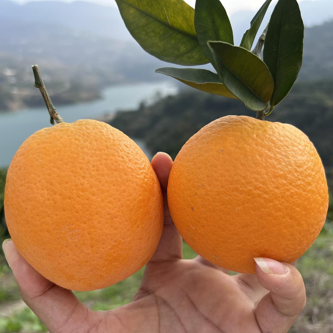麦德好鲜果