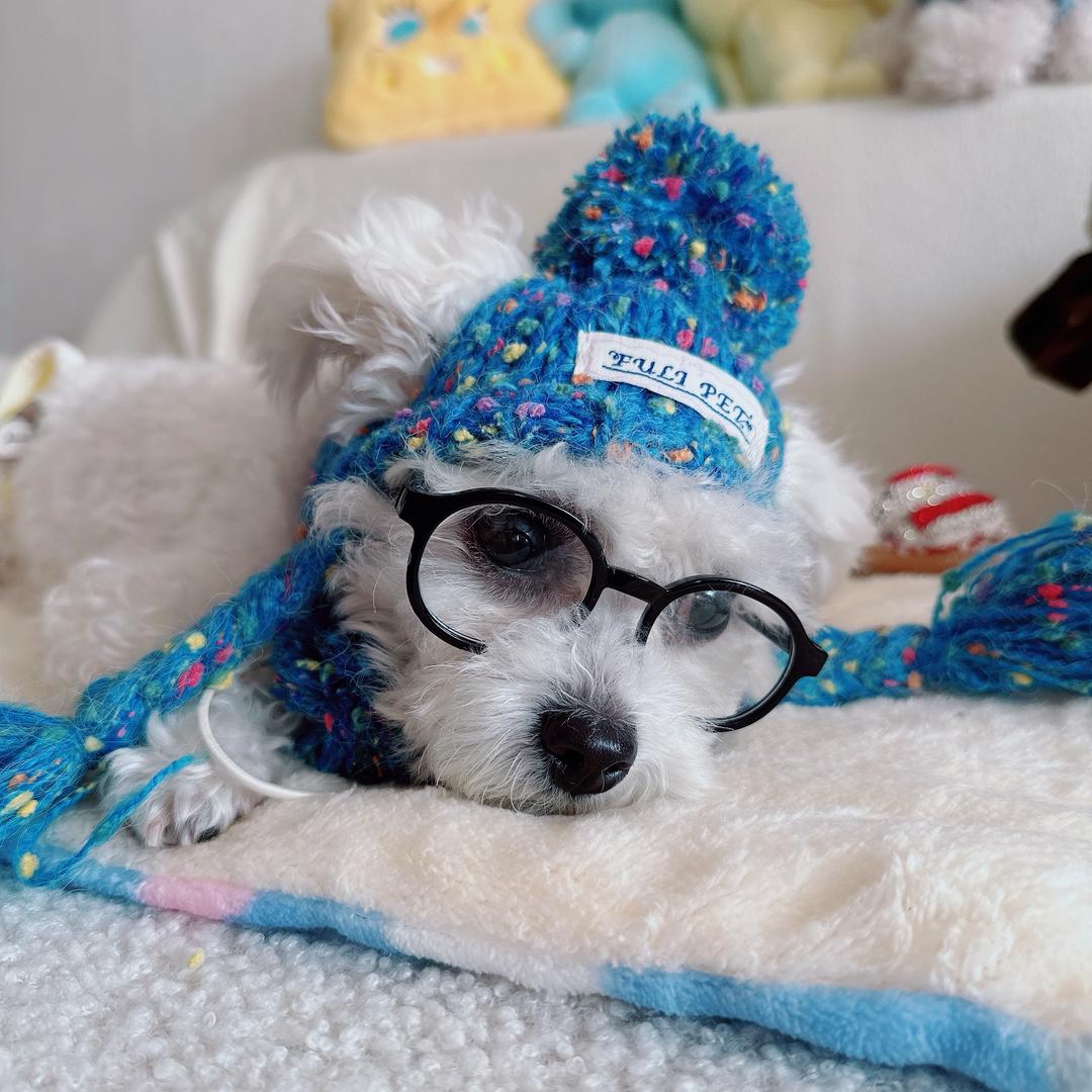 🐶乃球是个萌妹子❤️